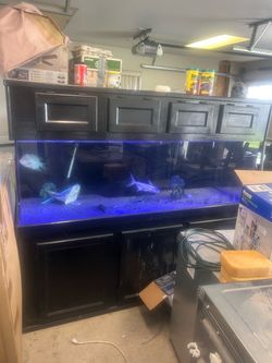 300 gal fish tank