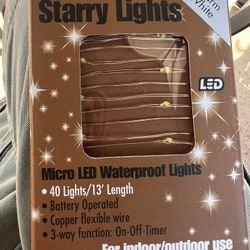 Miniature Lights/ Fairy Lites