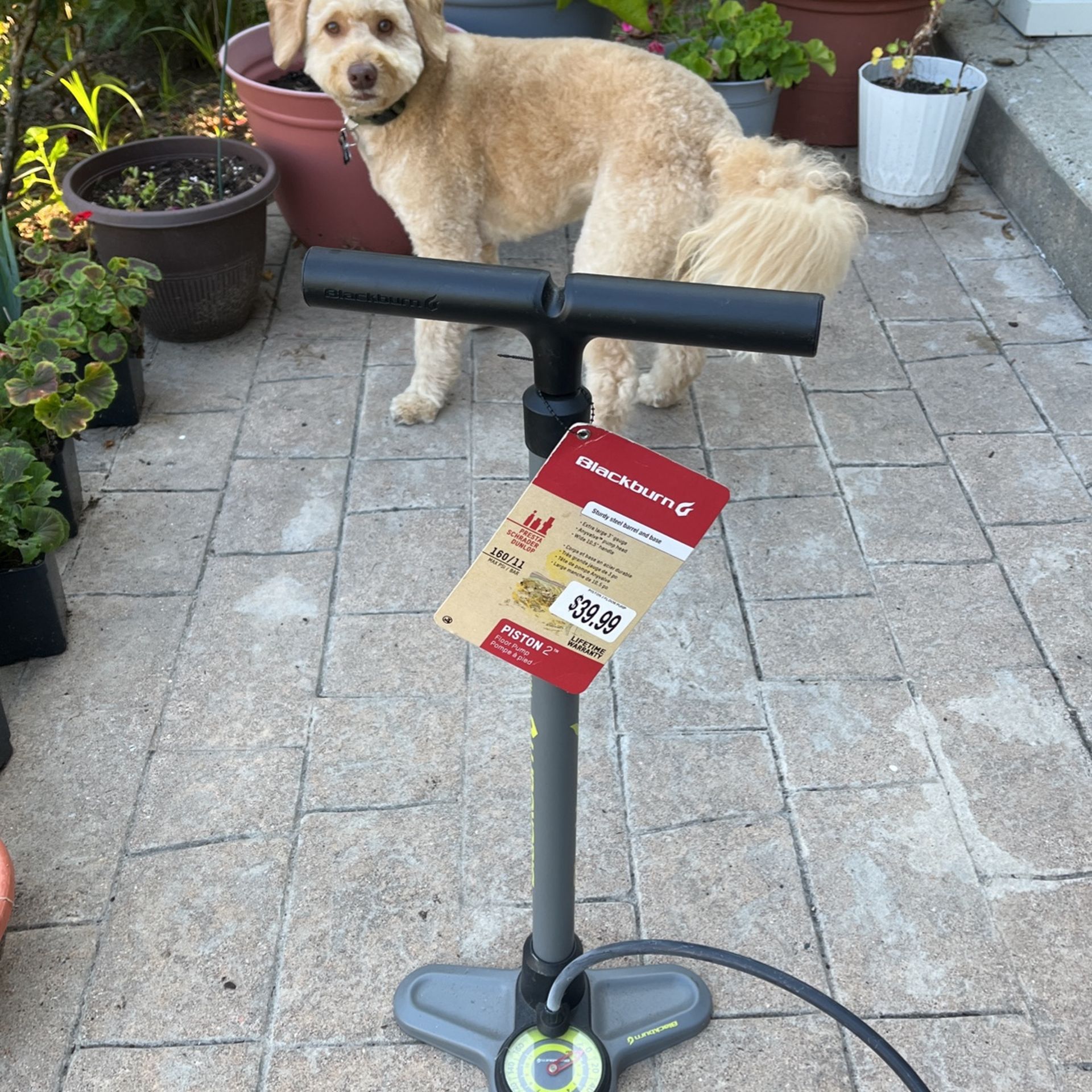Bike Floor Pump