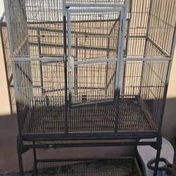 Bird Cage