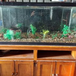 Fish  🐟 Tank 75gallon Tank,Top,Stand