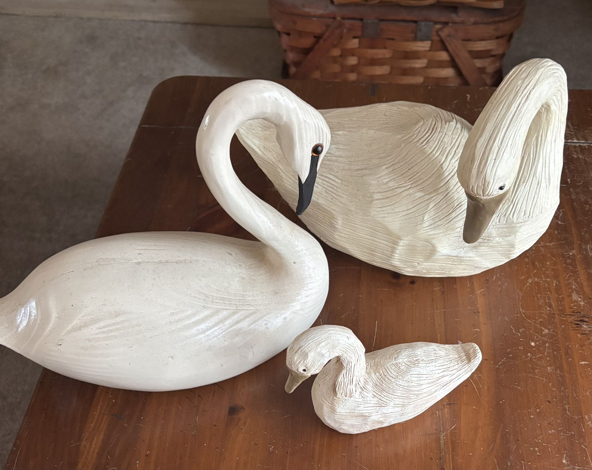 Swans