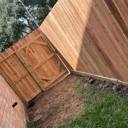 Cedar Fence