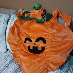 Dog Halloween Costume