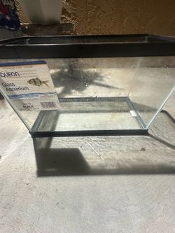 10 gallon aquarium