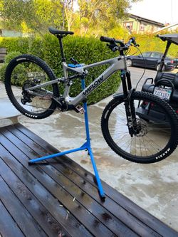 E-AMFLOW L MOUNTAIN BIKE
