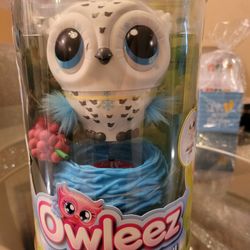 Owleez Teach  Me Fly