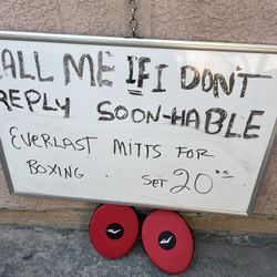 Everlast Mitts