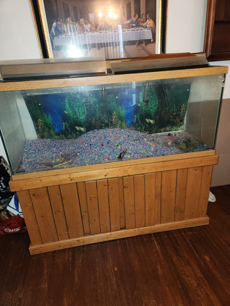Fish Tank For Sale ($1,000 or Best Officer)