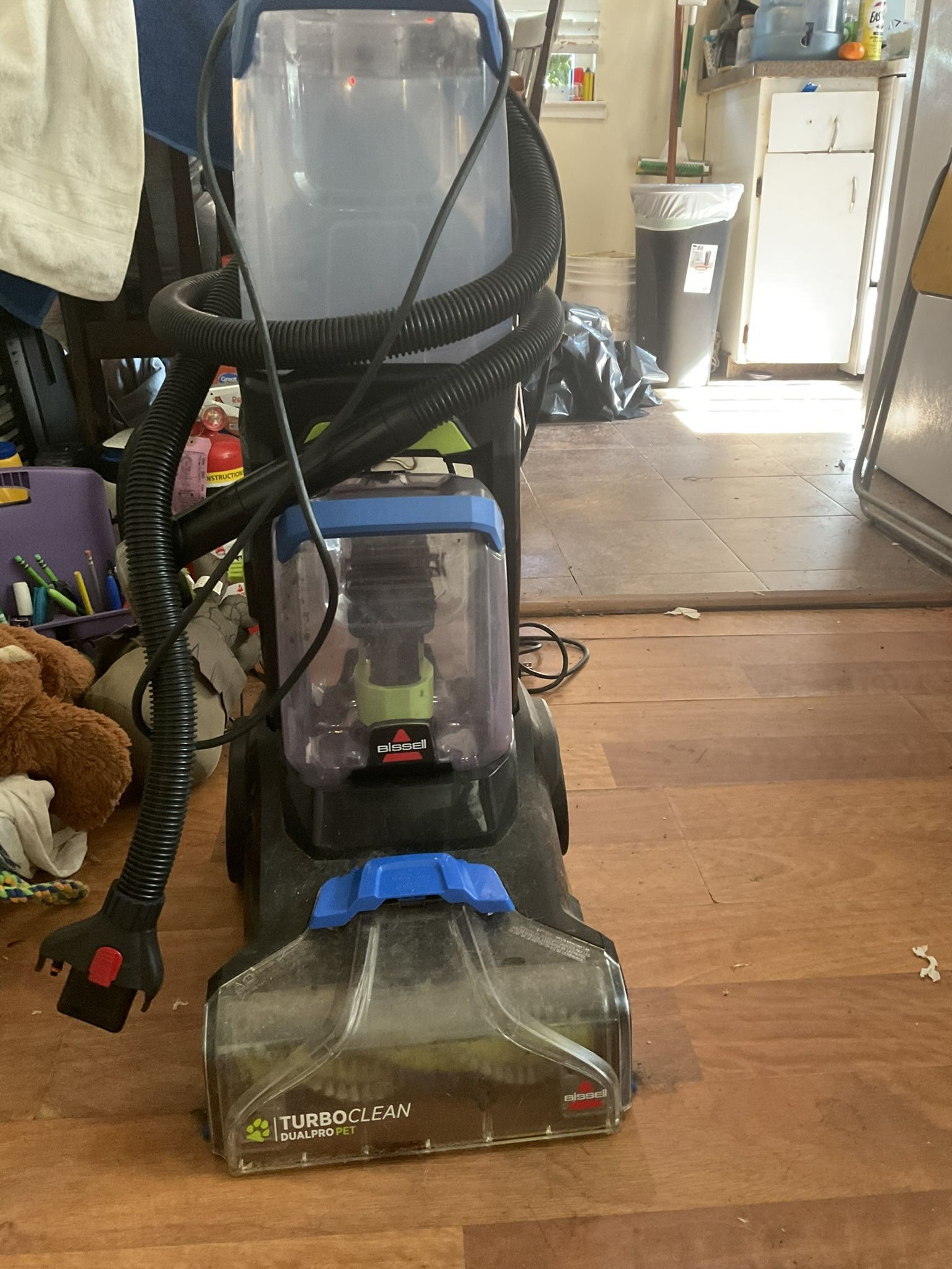 Bissell TurboClean DualPro Pet Carpet Cleaner 3067