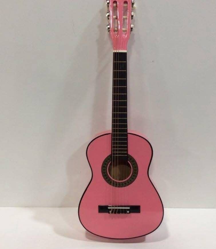 Acoustic Guitar With Gig Bag