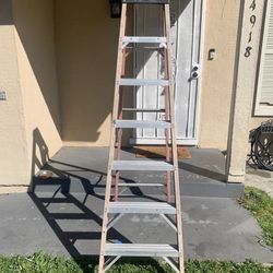 Warner Ladder 6 Feet 