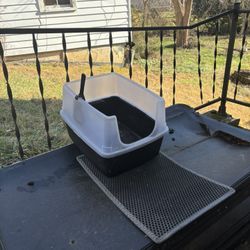 Litterbox and Mat