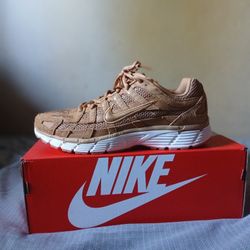 Nike P-6000 Size 11