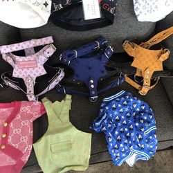 Dog Clothes And Harness