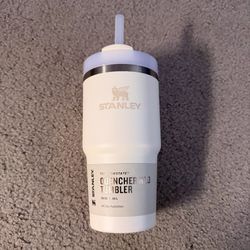 STANLEY 20 OZ QUENCHER H2O TUMBLER! ✨
