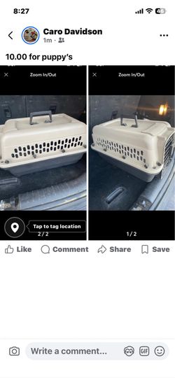 Dog carrier