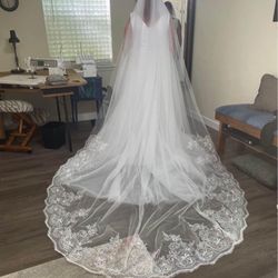 Gorgeous wedding Veil 