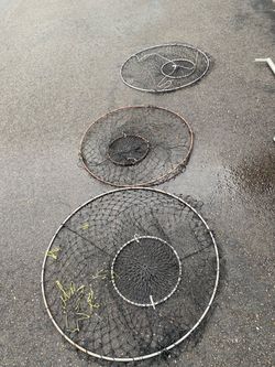 Lobster hoops