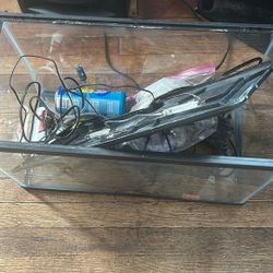 10gal fish tank