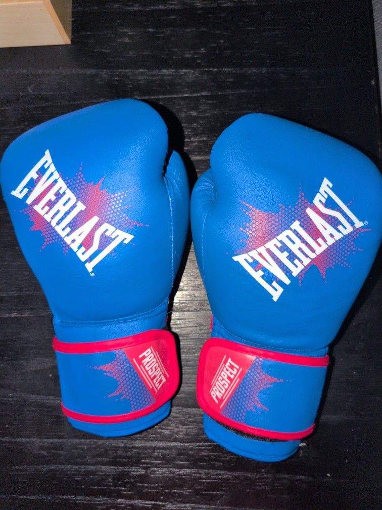 EVERLAST BOXING GLOVES