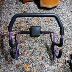 Purple Ab Roller Plus