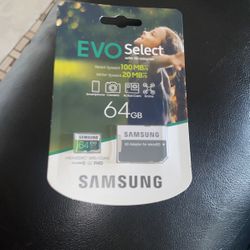 Evo Select 64 GB Samsung