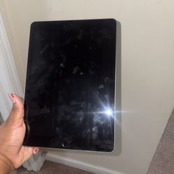 iPad 
