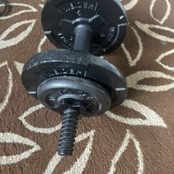 Weights 