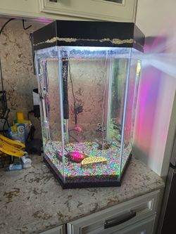 Fish tank