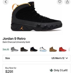 Air Jordan 9 Retro Dark Charcoal University