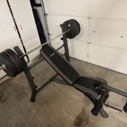 SA Gear Adjustable Weights - Straight Bar & Curling Bar
