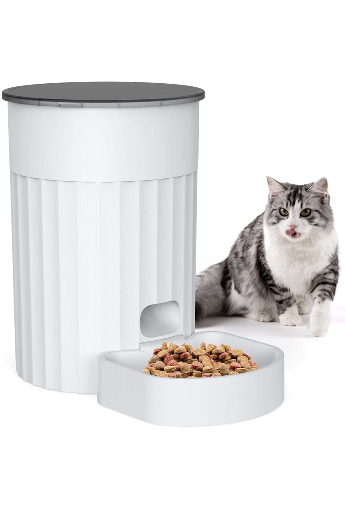 DADYPET Automatic Cat Feeder 3L Programmable Timer Memory Setting Pet Feeder Portion Control Dog Food Dispenser Automatic 1-4 Meals per Day for Small