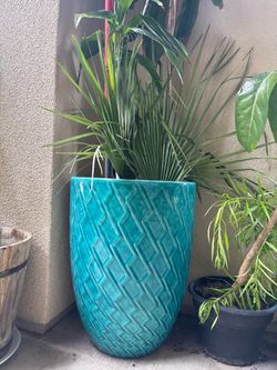 (X2) Large Decorative Ceramic Planter w/ Tropical Plants