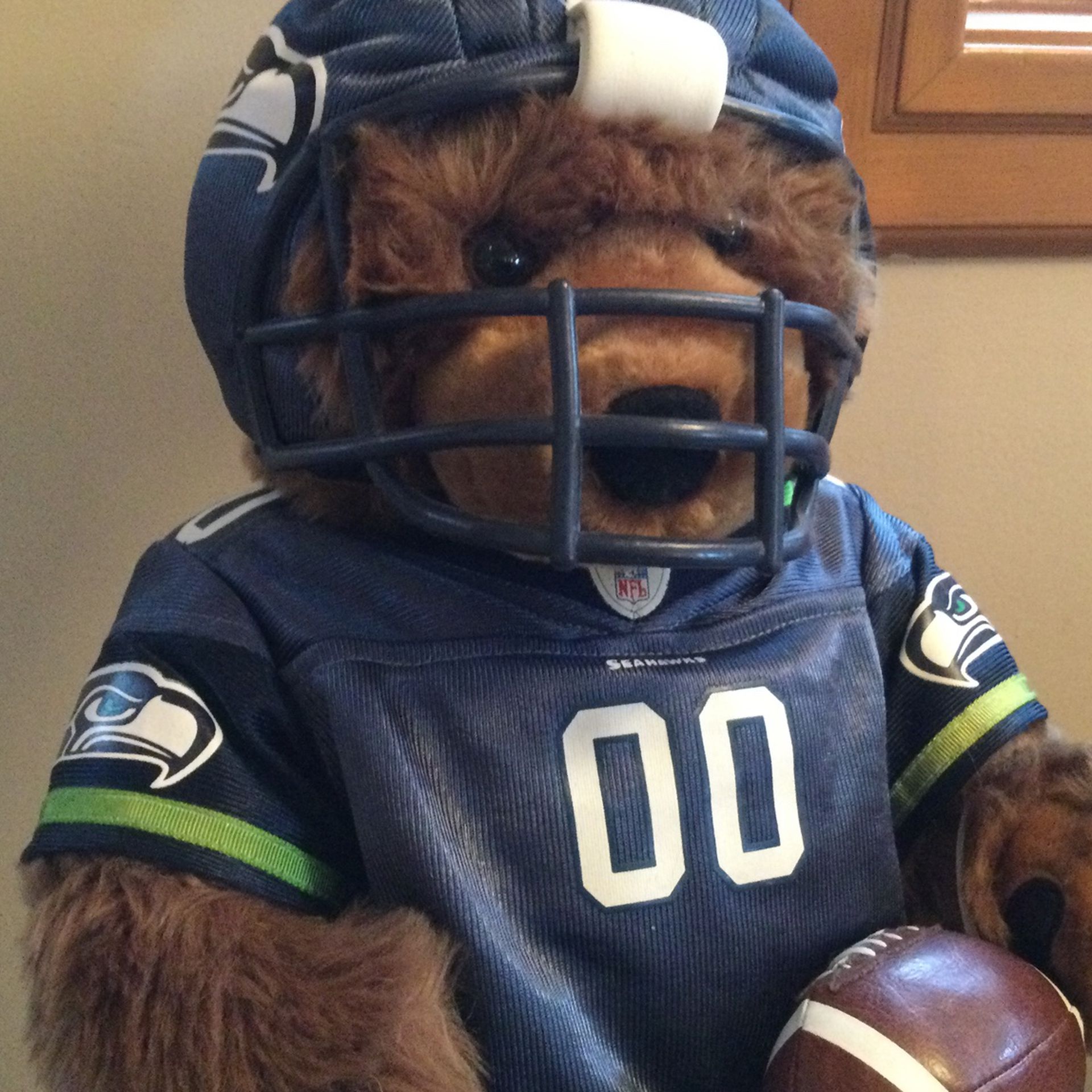 Official NFL SEAHAWKS Build A Bear Teddy With Complete Uniform, Football