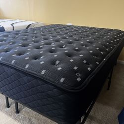 Brand New Mattresses 