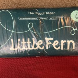 Little Fern The Cloud Diaper Super Absorbent Size 4 42 Pack The Cloud Diaper