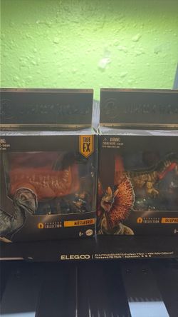 Hammond collection