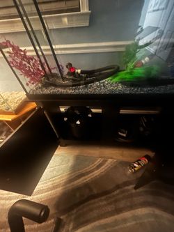 60 gallon fish tank and stand
