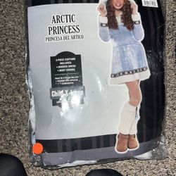 New Attic Princess Costume 