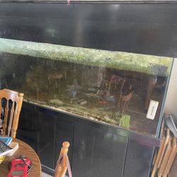 220 Gallon Tank With Lots Of Extras 