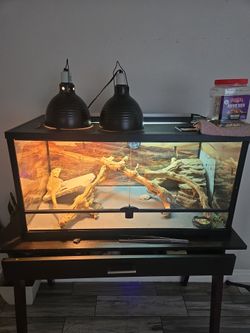 Tank for reptiles