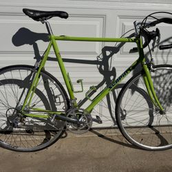 Scapin Italian Road Bike 60cm Campagnolo Record Columbus EL-OS 