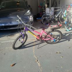 20 Inch Nishiki Mountain Bike