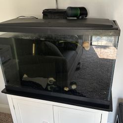 29 gallon aqueon tank 