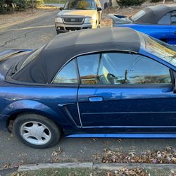 2000 Ford Mustang