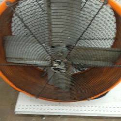 Fan 