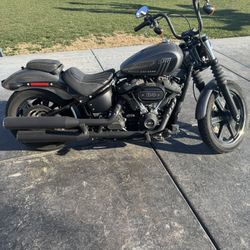 2022 Harley Davidson Softail Streetbob 