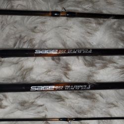 Sage DS2 590-4 Graphite ii - 2 Forsale