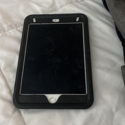 Ipad Mini With Case , Cellular Capable Lightning Connector 